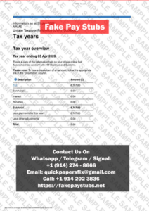 Fake Tax Overview Statement