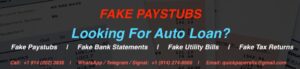 fake pay stubs for auto loan