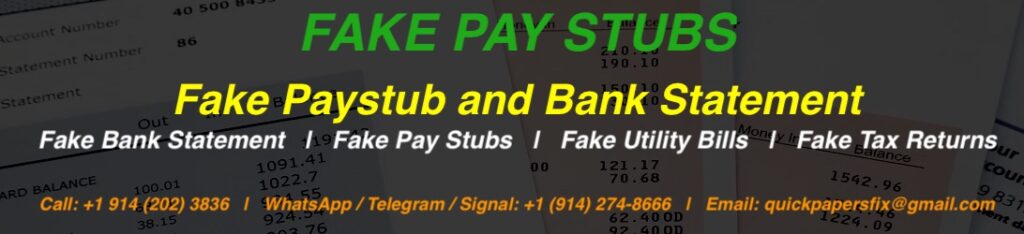 fake pay stubs and bank statement