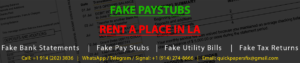 fake paystubs to rent a place